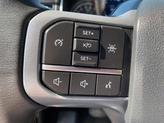 Thumbnail of 2023 Carbonized Gray Metallic Ford F-150