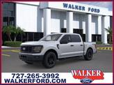Thumbnail of 2025 Silver Ford F-150