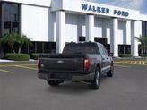 Thumbnail of 2025 Black Ford F-150