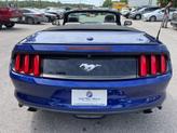 Thumbnail of 2015 Blue Ford Mustang