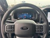 Thumbnail of 2025 Iconic Silver Metallic Ford F-150