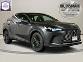 Photo of 2025 Cloudburst Gray Lexus RX 350