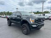 Thumbnail of 2023 Agate Black Ford F-150