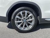 Thumbnail of 2019 Alpine White BMW X3