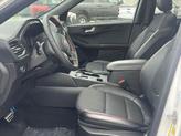 Thumbnail of 2024 STAR WHITE METALLIC TRI-COAT Ford Escape