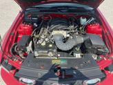 Thumbnail of 2008 Red Ford Mustang