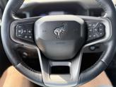 Thumbnail of 2022 Hot Pepper Red Metallic Tinted Clearcoat Ford Bronco