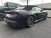 Thumbnail of 2025 Shadow Black Ford Mustang