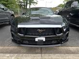 Thumbnail of 2025 Shadow Black Ford Mustang