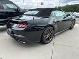 Thumbnail of 2025 Shadow Black Ford Mustang