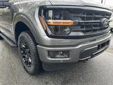 Thumbnail of 2025 Carbonized Gray Metallic Ford F-150