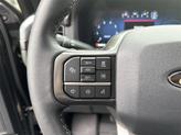 Thumbnail of 2024 Black Metallic Ford F-150