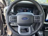 Thumbnail of 2025 Agate Black Metallic Ford F-150
