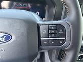 Thumbnail of 2025 Agate Black Metallic Ford F-150
