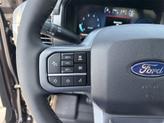 Thumbnail of 2025 Agate Black Metallic Ford F-150