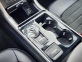 Thumbnail of 2020 Magnetic Ford Edge