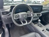 Thumbnail of 2024 Shadow Black Ford Mustang