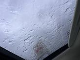 Thumbnail of 2025 Serenity White Hyundai SANTA FE