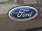 Thumbnail of 2015 Caribou Metallic Ford F-150