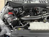 Thumbnail of 2024 White Ford F-150