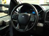 Thumbnail of 2019 Race Red Ford F-250