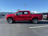 Thumbnail of 2025 Vermillion Red Ford F-150