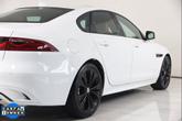 Thumbnail of 2023 Fuji White Jaguar XF