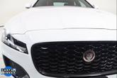 Thumbnail of 2023 Fuji White Jaguar XF