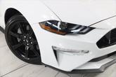 Thumbnail of 2019 Oxford White Ford Mustang