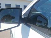 Thumbnail of 2019 White Toyota Tundra
