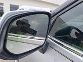 Thumbnail of 2023 Celestial Silver Metallic Toyota Highlander