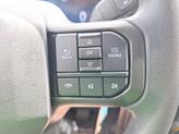 Thumbnail of 2024 Gray Metallic Ford F-150