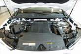 Thumbnail of 2025 Glacier White Metallic Audi Q5