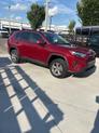 Thumbnail of 2023 Ruby Flare Pearl Toyota RAV4