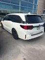 Thumbnail of 2025 Platinum White Pearl Honda Odyssey