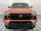 Thumbnail of 2025 Terra Toyota Tacoma