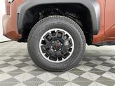 Thumbnail of 2025 Terra Toyota Tacoma