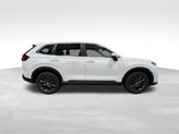 Thumbnail of 2026 Platinum White Honda CR-V