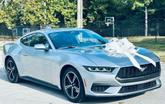 Thumbnail of 2024 Iconic Silver Metallic Ford Mustang