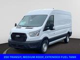 Photo of 2025 Oxford White Ford Transit-250
