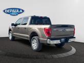 Thumbnail of 2023 Stone Gray Metallic Ford F-150