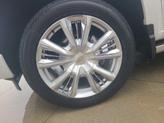 Thumbnail of 2023 Iridescent Pearl Tricoat Chevrolet Silverado 1500