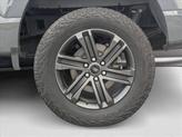 Thumbnail of 2021 Lead Foot Ford F-150