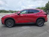 Thumbnail of 2025 Red Line Lexus NX 350h