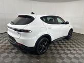 Thumbnail of 2024 Q Ball Dodge Hornet