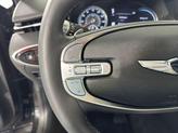 Thumbnail of 2025 Vik Black Genesis GV70
