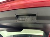 Thumbnail of 2023 Red Ford Explorer