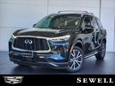 Photo of 2023 Mineral Black INFINITI QX60