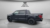 Thumbnail of 2024 Agate Black Metallic Ford F-150