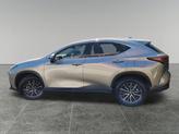 Thumbnail of 2024 Atomic Silver Lexus NX 350h